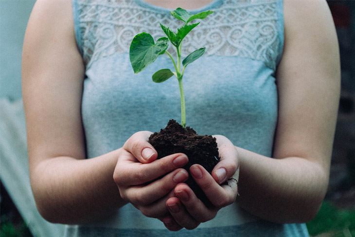 Les Avantages De Planter Des Arbres Pour l'Environnement
