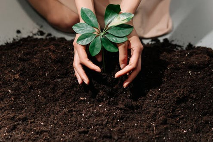 Le cheminement de intact, economical, promutuel vers un 2030 écoresponsable