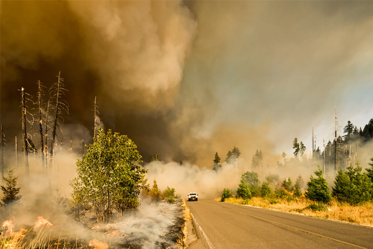 Comment La Fumée Des Feux De Forêt Peut Impacter Votre Santé